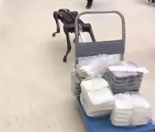 国产机器狗自动化视频,智能宠物的未来篇章