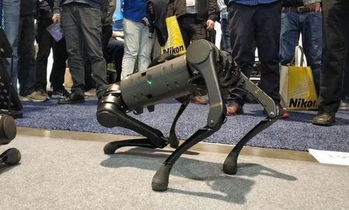 国产机器狗自动化视频,智能宠物的未来篇章