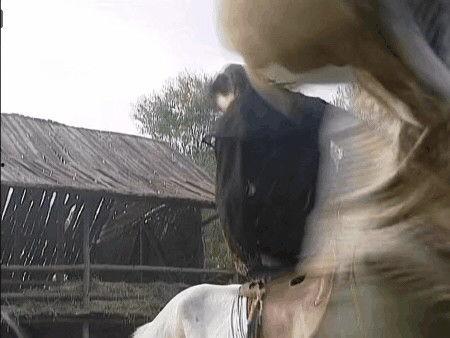 国产剧骑马视频大全集播放,国产剧中的骏马风采