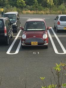 街拍汽车国产轿车视频,探寻街头时尚新宠