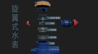 国产水表出口视频,出口视频展示创新实力与品质魅力
